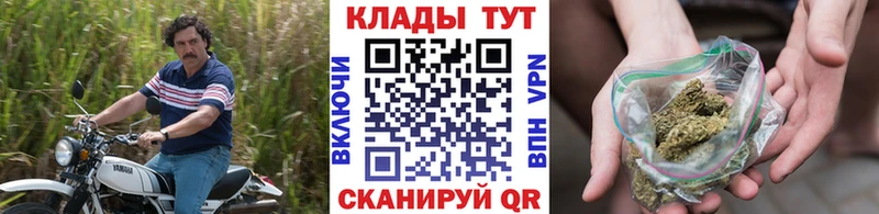 Канабис Губкин