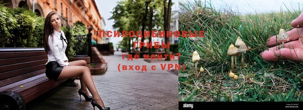 МДПВ Алексин
