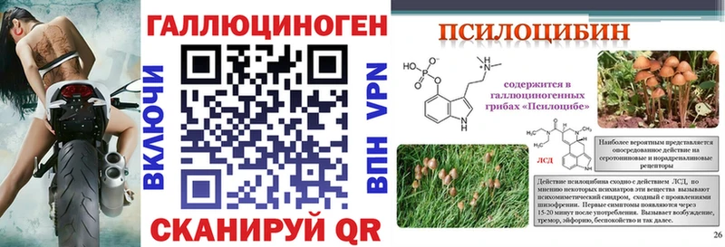 blacksprut ССЫЛКА наркота Губкин Галлюциногенные грибы GOLDEN TEACHER