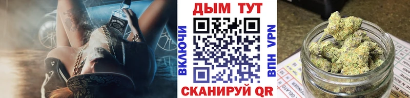 купить наркотик  OMG как зайти  Бошки Шишки гибрид  Губкин 